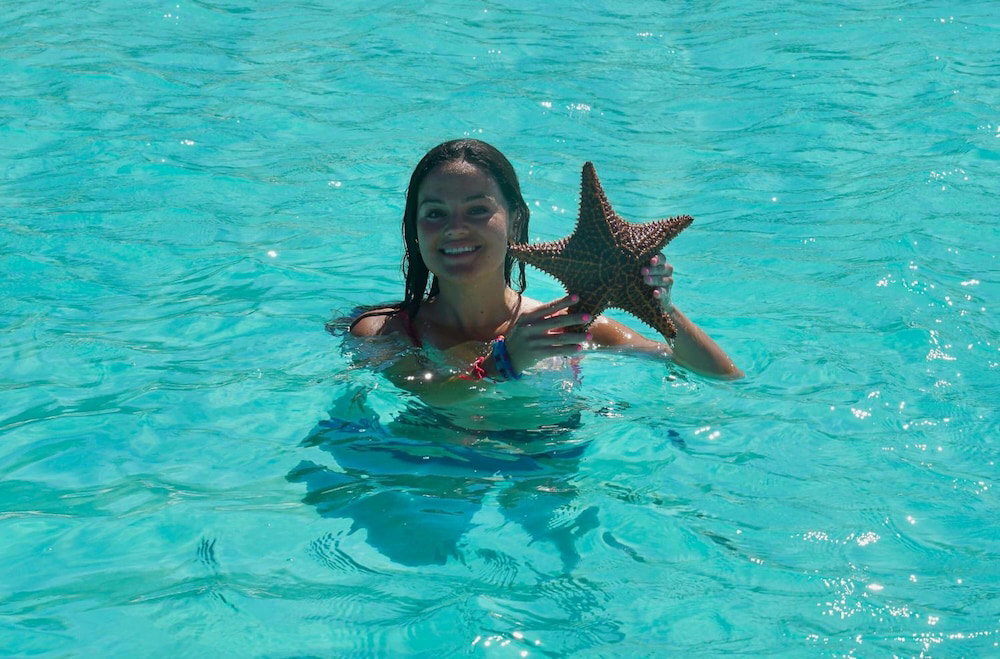 Hotel Saint Francis Resort