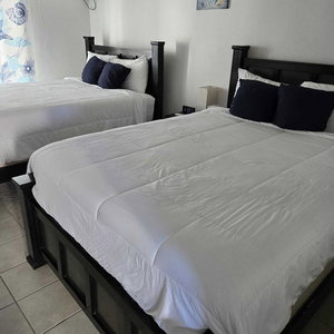 Hotel Exuma Palms Boutique Resort cazare George Town