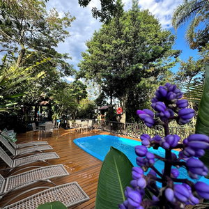 Hotel Hotel Natur Campeche cazare Ribeirao da Ilha