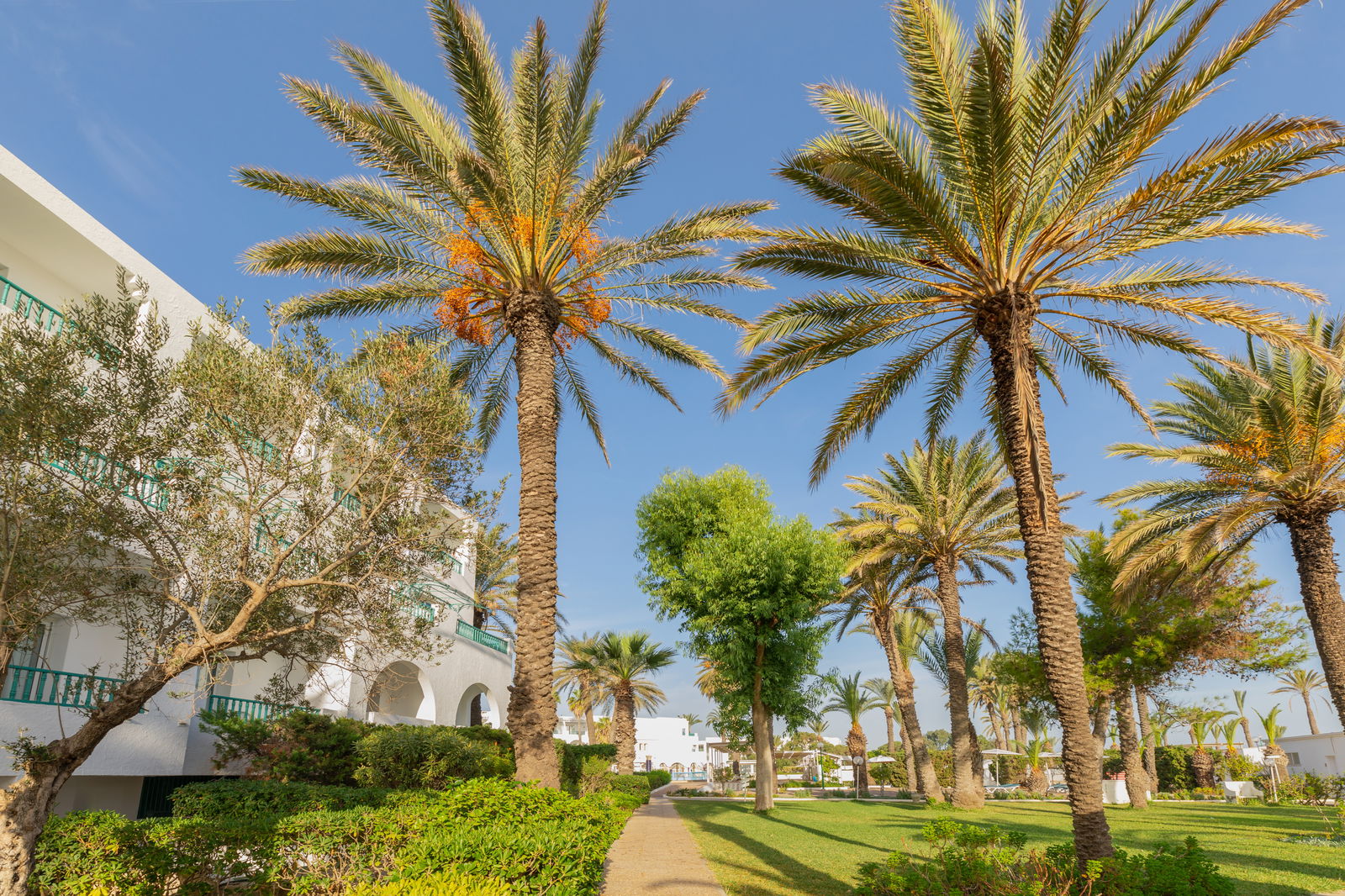Hotel El Mouradi Port El Kantaoui