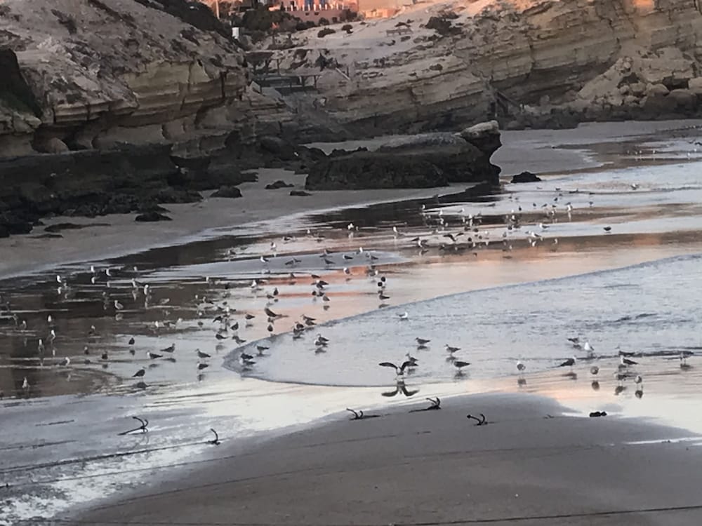 Hotel Sunrise Guesthouse