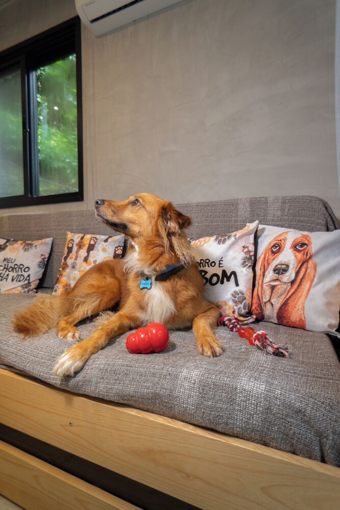 Hotel Bom Pra Cachorro