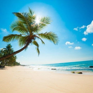 Hotel Madagascar cazare Praia Grande