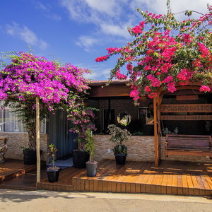 Hotel Pousada Da Leide cazare Fernando de Noronha (Distrito Estadual)