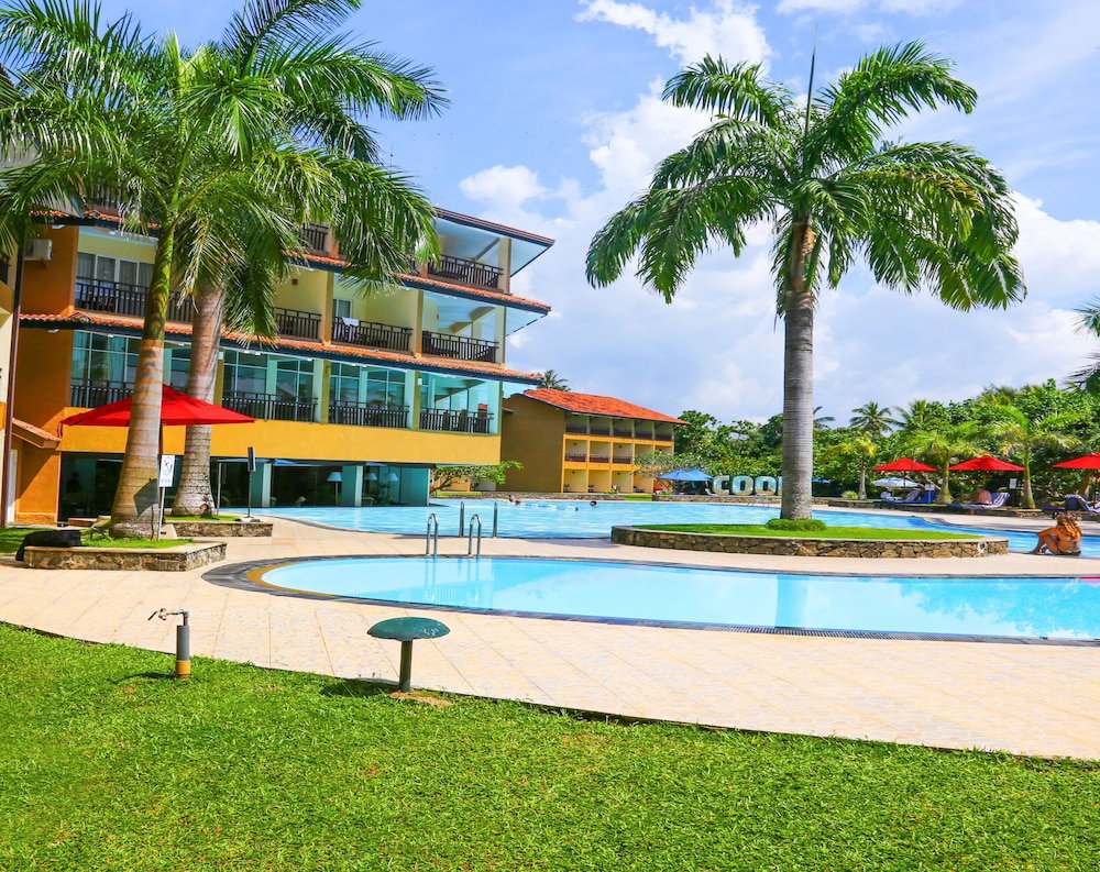 The Palms