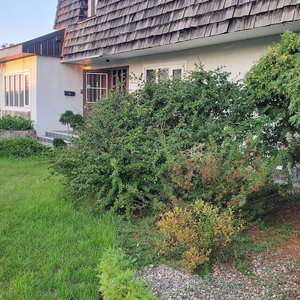 Hotel Pells Hostel cazare Regina