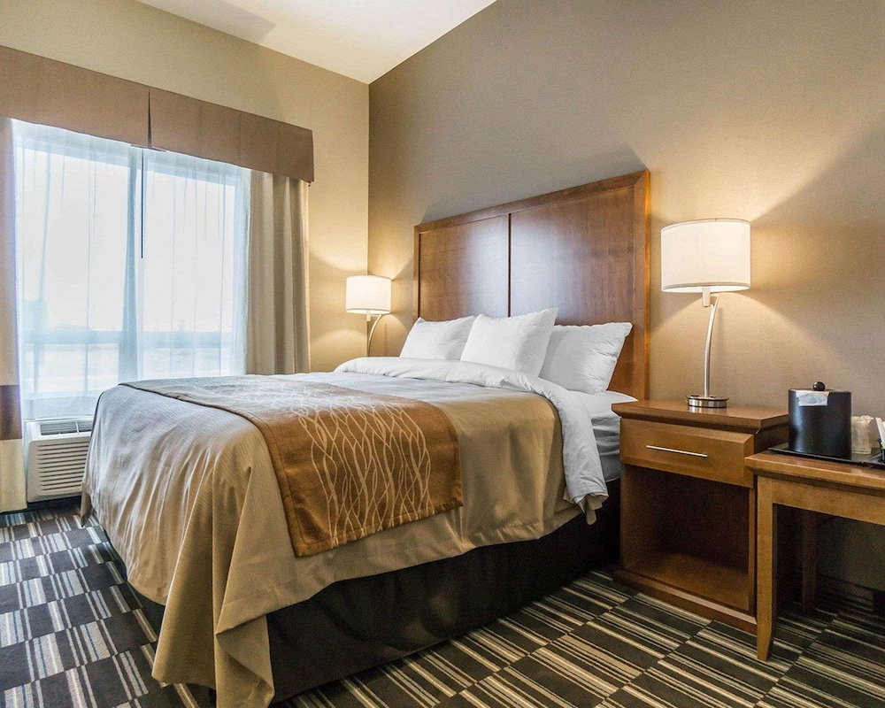 Hotel Comfort Inn & Suites Edmonton International Airport