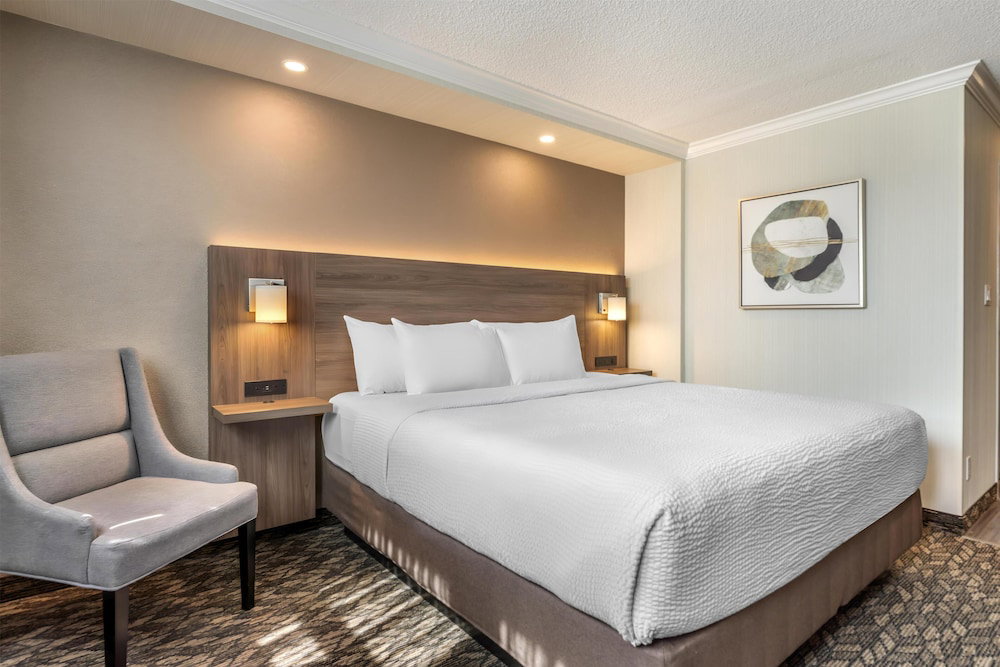 Hotel Best Western Plus Carlton Plaza Hotel