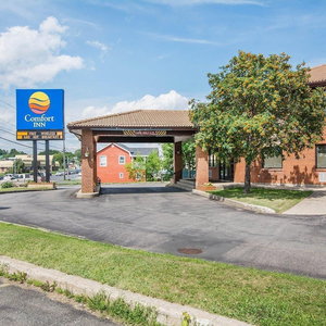 Hotel Comfort Inn cazare Bathurst