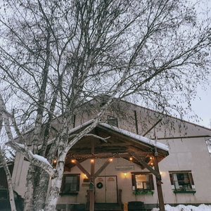 Hotel Alpine Meadows Lodge cazare Golden
