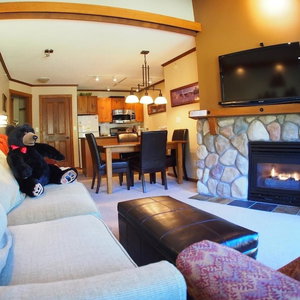 Hotel Fireside Lodge #409 cazare Chase