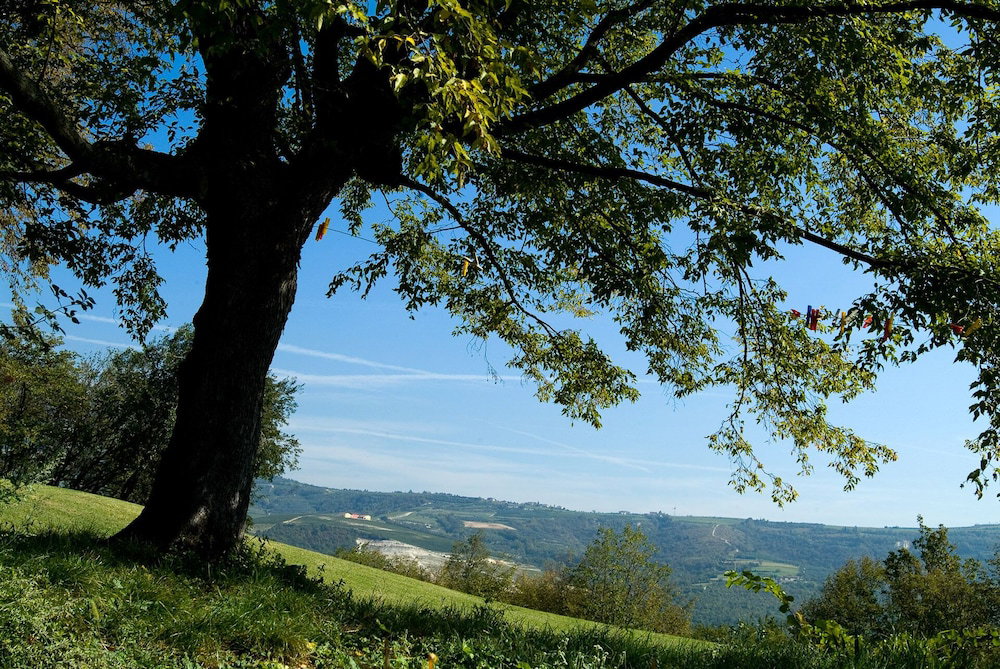 Tenuta Delo Relais