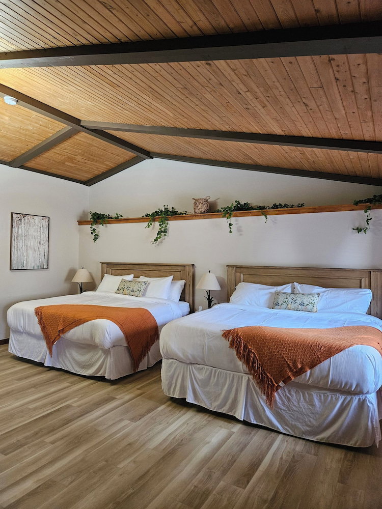 Hotel For-Rest Inn And Spa