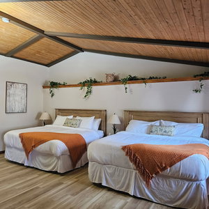Hotel For-Rest Inn And Spa cazare Bathurst