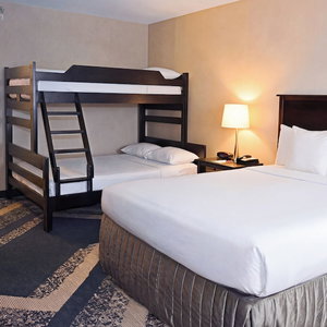 Hotel Skyline Hotel & Waterpark cazare Niagara Falls