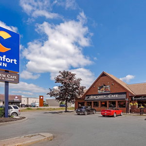 Hotel Comfort Inn Brantford cazare Brantford