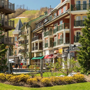Hotel Blue Mountain Resort Village Suites cazare Collingwood