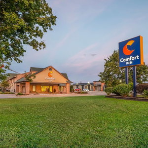 Hotel Comfort Inn London - Wellington Road cazare London