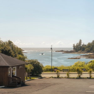 Hotel Little Beach Resort cazare Ucluelet