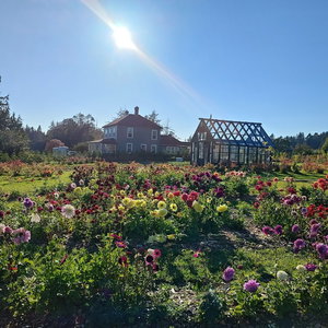 Hotel Woodside Farm Country Inn cazare Sooke