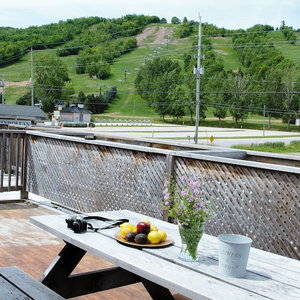 Hotel 4 Bedroom Apartment Near Blue Mountain Village, Private Beach Access, Bbq, Petfriendly cazare Collingwood