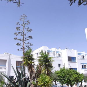 Sejur Kefalonitis vacanta Paphos