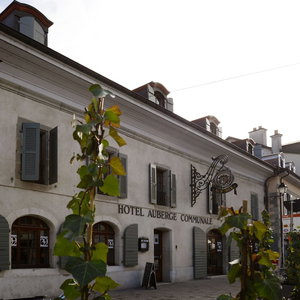 Hotel Auberge Communale De Carouge cazare Carouge
