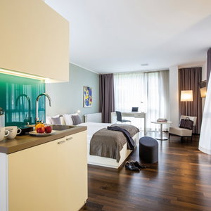 Hotel The Flag Zürich cazare Zuerich (Kreis 9)