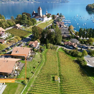 Hotel Seaside Lodge cazare Spiez