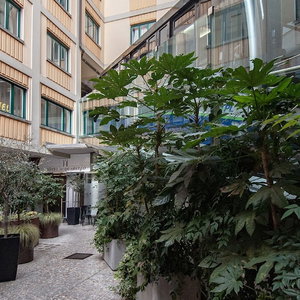 Hotel Acquarello Swiss Quality Hotel cazare Sorengo