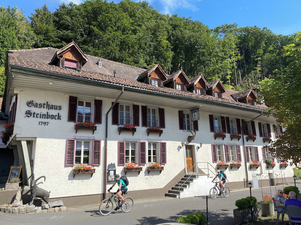 Hotel Historic Hotel Steinbock