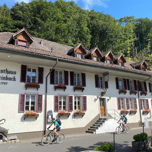 Hotel Historic Hotel Steinbock cazare Gsteig