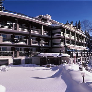 Hotel Hôtel Résidence De La Forêt cazare Randogne