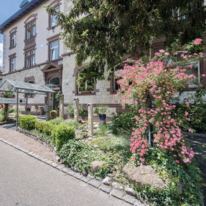 Hotel Hotel Promenade cazare Schaffhausen