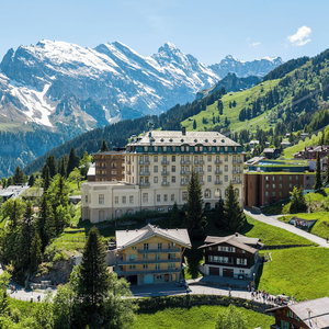 Hotel Hotel Mürren Palace cazare Lauterbrunnen