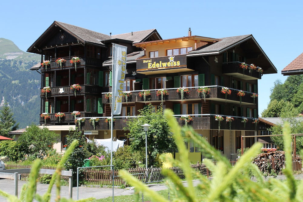 Hotel Hotel Edelweiss Wengen