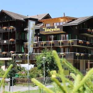 Hotel Hotel Edelweiss Wengen cazare Lauterbrunnen