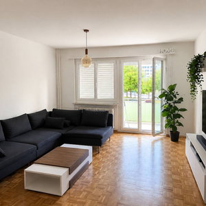Hotel Cozy Fully Furnished Flat In Neuenhof Near Baden cazare Neuenhof