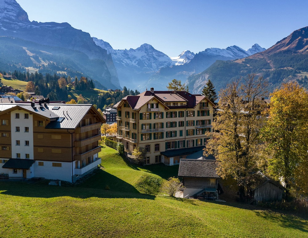 Hotel Hotel Falken