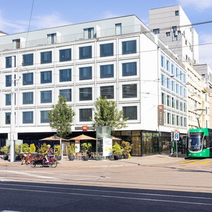 Hotel Ibis Basel Bahnhof cazare Binningen
