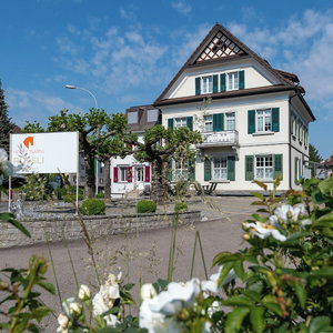 Hotel Hotel Garni Rössli cazare Wittenbach