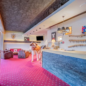 Hotel Relais Alpin cazare Leysin