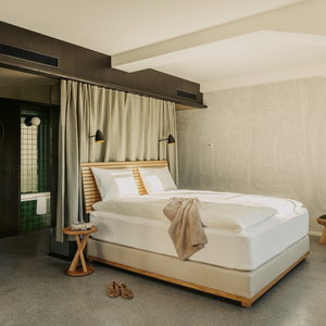 Hotel Boutique & Design Hotel Volkshaus Basel cazare Basel