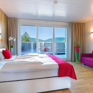 Hotel Hotel Rhy cazare Oberriet