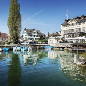 Hotel Hotel Hirschen Am See cazare Meilen