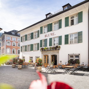 Hotel Blume. - Baden Hotel & Restaurant cazare Baden