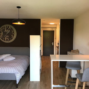 Hotel Large Studio Near Epfl And Lausanne City Center cazare Ecublens