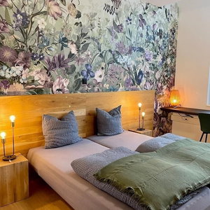 Hotel Hotel Profis cazare Diepoldsau