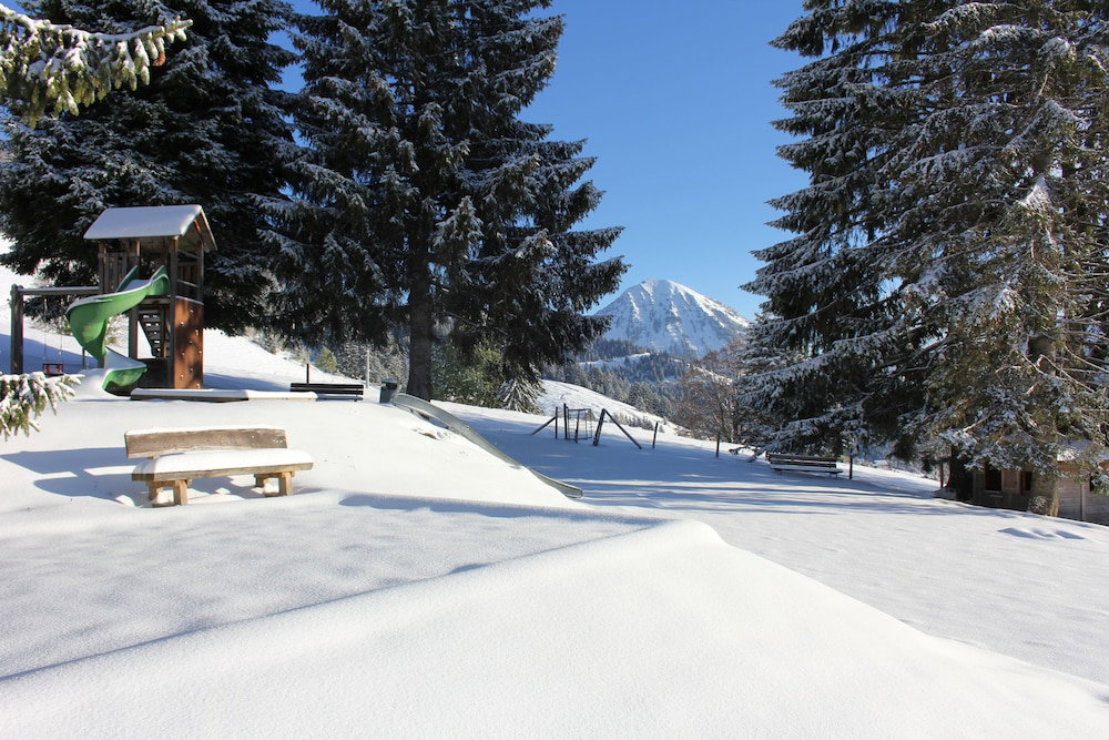 Hotel Leysin Lodge