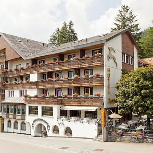 Hotel Hirschen Wildhaus cazare Wildhaus